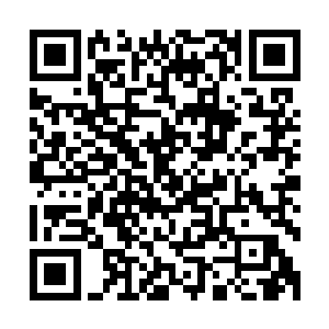 显然到现在他也不敢相信杨开竟真的能用拳头跟自己对拼一击二维码生成