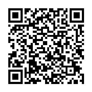 显然即便是杨戬此时也感受到了一股无比强大的压迫的感觉二维码生成