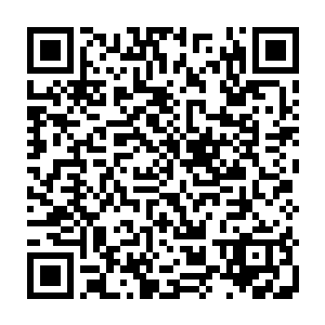 显然对于王世子这些分分钟数百万上下的大佬们还是给予了充分的尊重跟忍让二维码生成