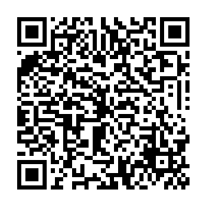 显然就是网络上网民和歌迷们热议的焦点李谦与程素瓶对唱的京剧二维码生成