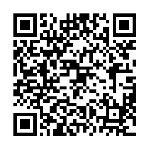 显然杨戬从这恐怖的巨蛟的身上感受到了一股不小的威胁二维码生成