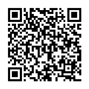 显然杨戬发动的这两道攻击还是无法轰碎他们两个人的防护二维码生成