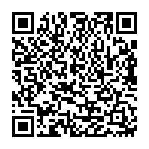 显然此时老者也终于明白了为什么黄轩会如此自信满满的找上自己了二维码生成
