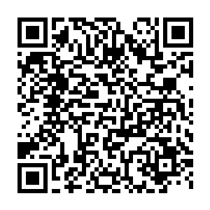 显然追出去的那些妖魔已经给第四层的修士们造成了可怕的杀伤力二维码生成