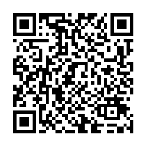 显然通臂猿猴的真灵之力已经完全被杨戬两个人吸收完毕了二维码生成