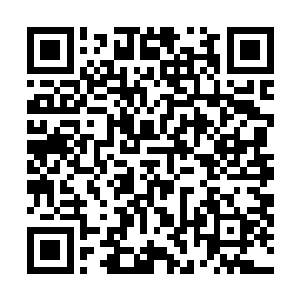 显示出了参加测试的二十一台晶铠的基本介绍和性能参数二维码生成