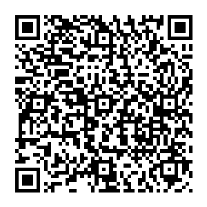 晋云国内各个诸侯和地方家族的旗帜和标徽上都不准出现以龙形为代表的华族四圣兽的纹章与图案二维码生成
