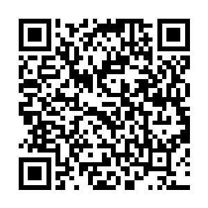 晏晨回到房里随便收拾了几件衣服提着一个小皮箱就下来了二维码生成