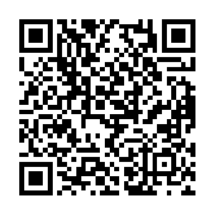 晏晨的视线在安慕晨和安逸晨的脸上打了一个转转二维码生成