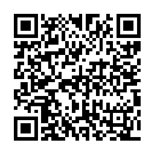 晓明已经觉得自己握棍的右手被对方的力量反震的一片发麻二维码生成