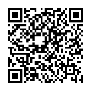 晨星公司是少数几个目前还在死心塌地跟着他们的佣兵公司二维码生成