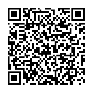 普罗曼博士也明确指出了龙果对于治疗尼曼匹克病有着极其特殊的疗效二维码生成