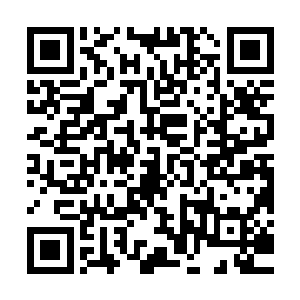 普通平民再次在生活中见到几乎是帝国皇室象征的堪塔斯幼崽们二维码生成