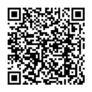 普通本科毕业的黄玉娟不知道什么原因竟然被分到了让人眼红的县委组织部二维码生成