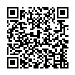 景横波原以为看似温柔实则难搞的小怪兽会劈手给他一爪子二维码生成
