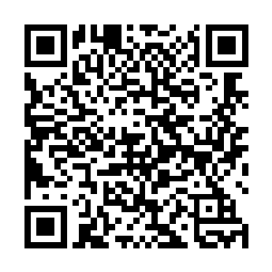 景横波和宫胤老实不客气地占据了屋子里唯一一张床上二维码生成