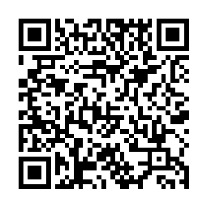 景横波脑海里顿时浮现大片大片的黑色粗体字新闻标题二维码生成