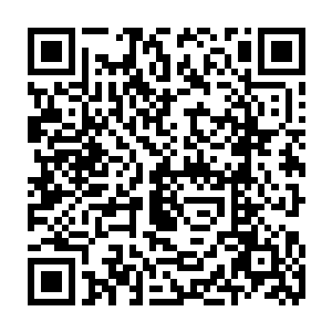 智为微博的人在数据库里发现我哥删掉的照片可以成为对付咱们钟家的把柄后二维码生成