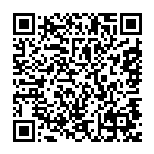 暗地里却在尝试着从万蛇之母所散发的意志波动当中追溯她的规则本源二维码生成