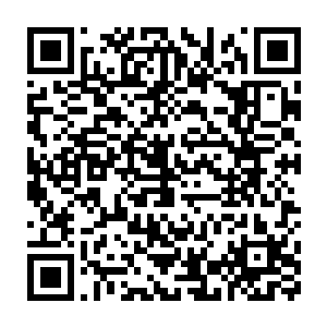 暗暗观察着图书馆中同样与他一样低头苦苦研究手中图稿的同好们二维码生成