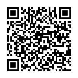 暮木平次在引擎盖上将叶秋和叶凡一手一个扔进车内二维码生成