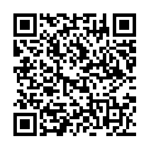 更不用为你做了那些可恶的事情表达出毫无意义的不满……二维码生成