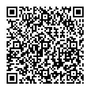 更不知道他们一天吃几顿……零号囚室墙壁上的刻痕到底代表了多长时间这下就很难说了……二维码生成
