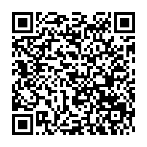 更主要的还是因为他的凶残……地下世界已经是一个非常混乱的世界了二维码生成