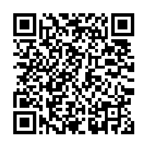 更何况今日我们已经折损了二百多名门徒以及狂狼堂堂主二维码生成