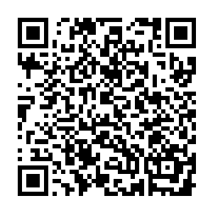 更何况他之前在割让流光虎甲虫和签订契约的时候也的确是受了不轻的伤二维码生成