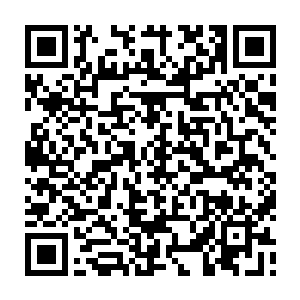 更何况单单是苏凡这个名字所代表的过去就已经足够他付出那么多东西了二维码生成