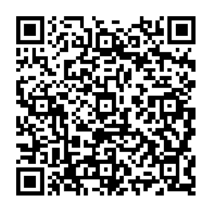 更何况就他们所了解的杰姆森·洛奇也不是那种会因为钱的事情把不愉快表现在脸上的人二维码生成