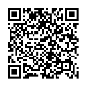 更何况我用的五彩鸡血加符水浸泡过的糯米杀伤力更是巨大二维码生成