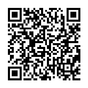 更何况是炎族这样在所有远古家族当中也足以排的上前列的存在二维码生成