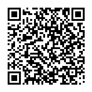 更何况现在的贾靓儿已经没有跟自己谈条件的资格……就凭一个任务剧情的信息二维码生成