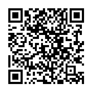 更像是很久很久以前在无极宗不被宗门重视时候的样子二维码生成