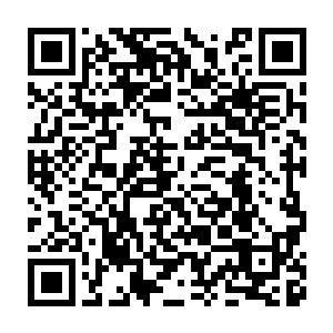 更别提在这丛林之中跟最擅长丛林战的精灵族和黑暗精灵族战斗了二维码生成