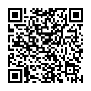 更别说此熔火魔域每次经过三个月轮回旋转才会开启一次了二维码生成