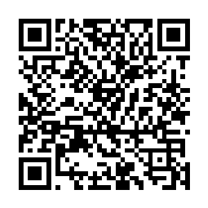 更加凶悍的撞击着彼得的圣光护罩……攻击力更加的犀利二维码生成