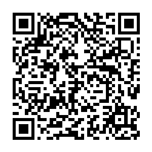 更加贴切一些……无非是一群利益熏心的玄学界修士搞的圈钱大会而已二维码生成