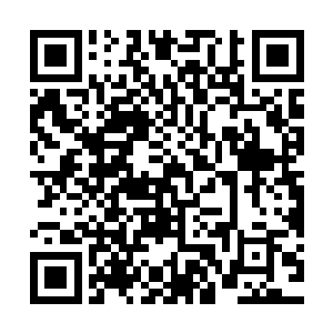 更可恨的是最后连他准备安排出来的蛟龙竟然也被他们给牵走了二维码生成