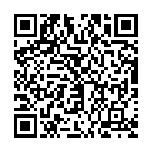更惨的是每个人都被炸的支离破碎的……宁羽墨阻止的太迟了二维码生成