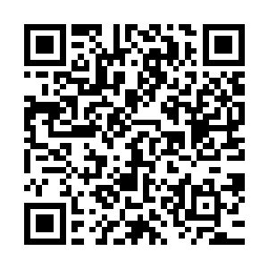 更是可以让修罗之心的威能比一般的传世神器还要更加可怕的二维码生成