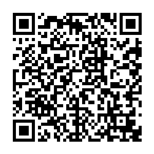 更是无法抗衡速度恐怖到了极致的风系灵兽王裂风狼王的……一眨眼的功夫二维码生成