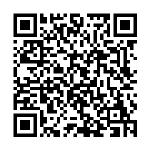 更有传言几位皇子都会微服轻车简从悄悄来到按鹰台二维码生成