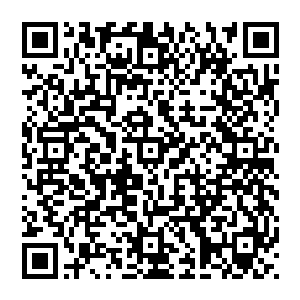 更有希望将这种文学形式从之前的二流边缘带到主流……所以在前段时间纷纷扰扰的辩论大浪潮里二维码生成