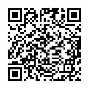 更没料到的是一向细水流长很是淡定的拢大美人会一改常态二维码生成