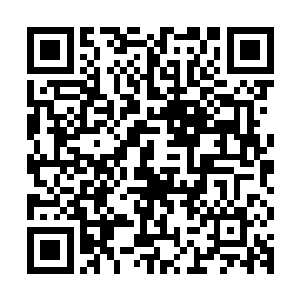 更连张铁身后的冰原巨熊部落和斯宾塞家族的长老们都变了脸色二维码生成