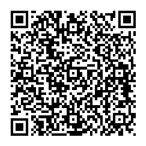 更重要的是当初自己心心念念打算请玉雕大师雕刻一件稀世珍宝的宝玉竟然成了定王手里一只不起眼的发簪二维码生成