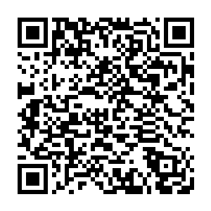 曼城俱乐部在和巴塞罗那俱乐部就伊布拉希莫维奇的转会进行商议的时候二维码生成